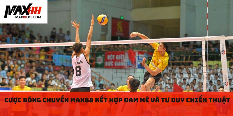 Cược bóng chuyền MAX88 kết hợp đam mê và tư duy chiến thuật 