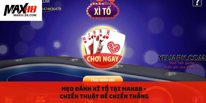 Mẹo đánh Xì Tố tại max88: Chiến thuật để chiến thắng