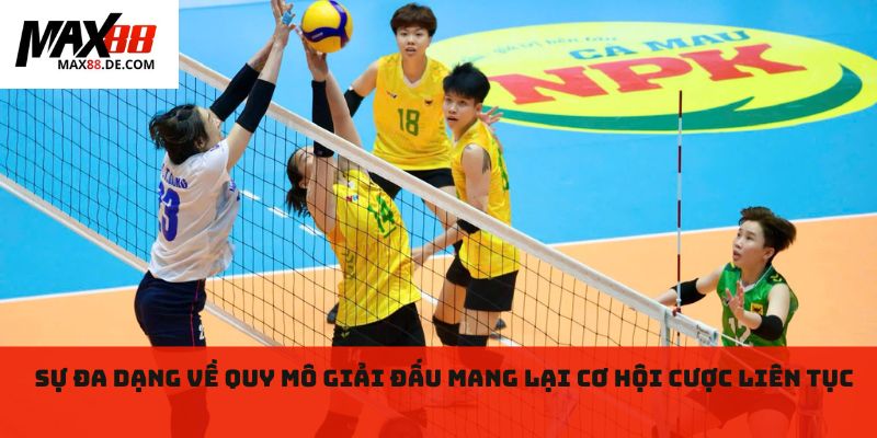 Sự đa dạng về quy mô giải đấu mang lại cơ hội cược liên tục