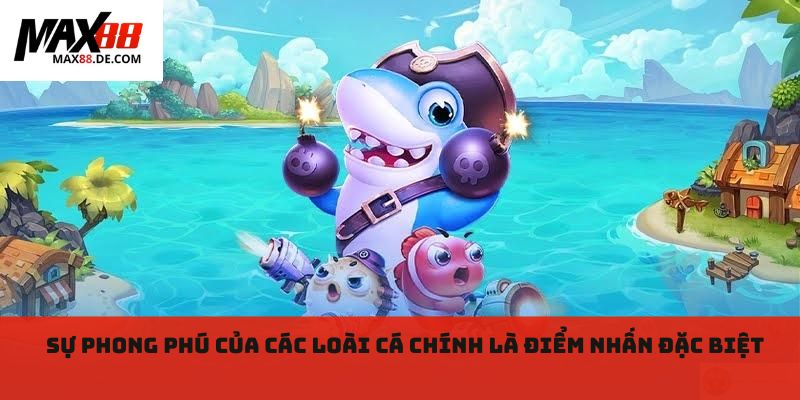 Sự phong phú của các loài cá chính là điểm nhấn đặc biệt